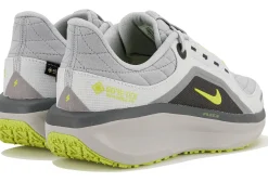 Air Winflo 11 Gore-Tex