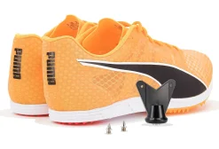 evoSPEED Distance 11 M