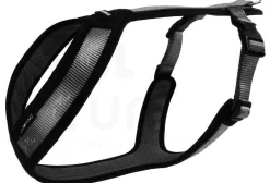 Harnais Djore Sport