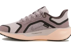Pegasus 41 Gore-Tex femme