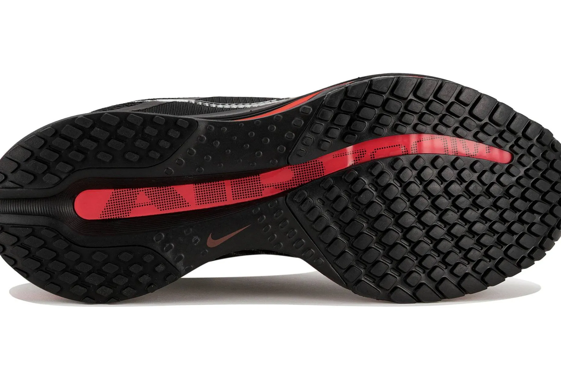 Pegasus Premium femme