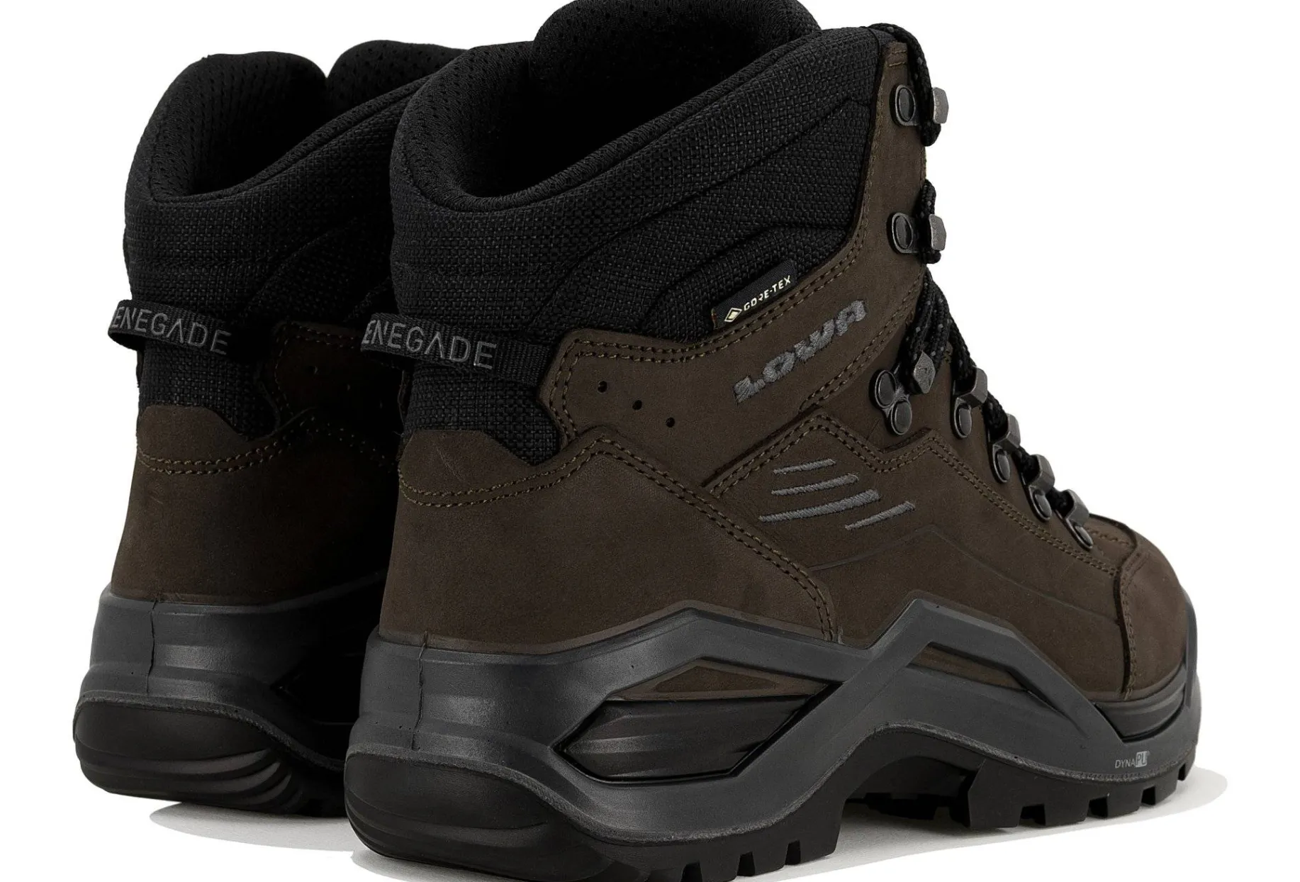 Renegade Evo Gore-Tex Mid