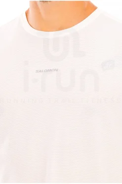 SHAKEout CORE STELLAR